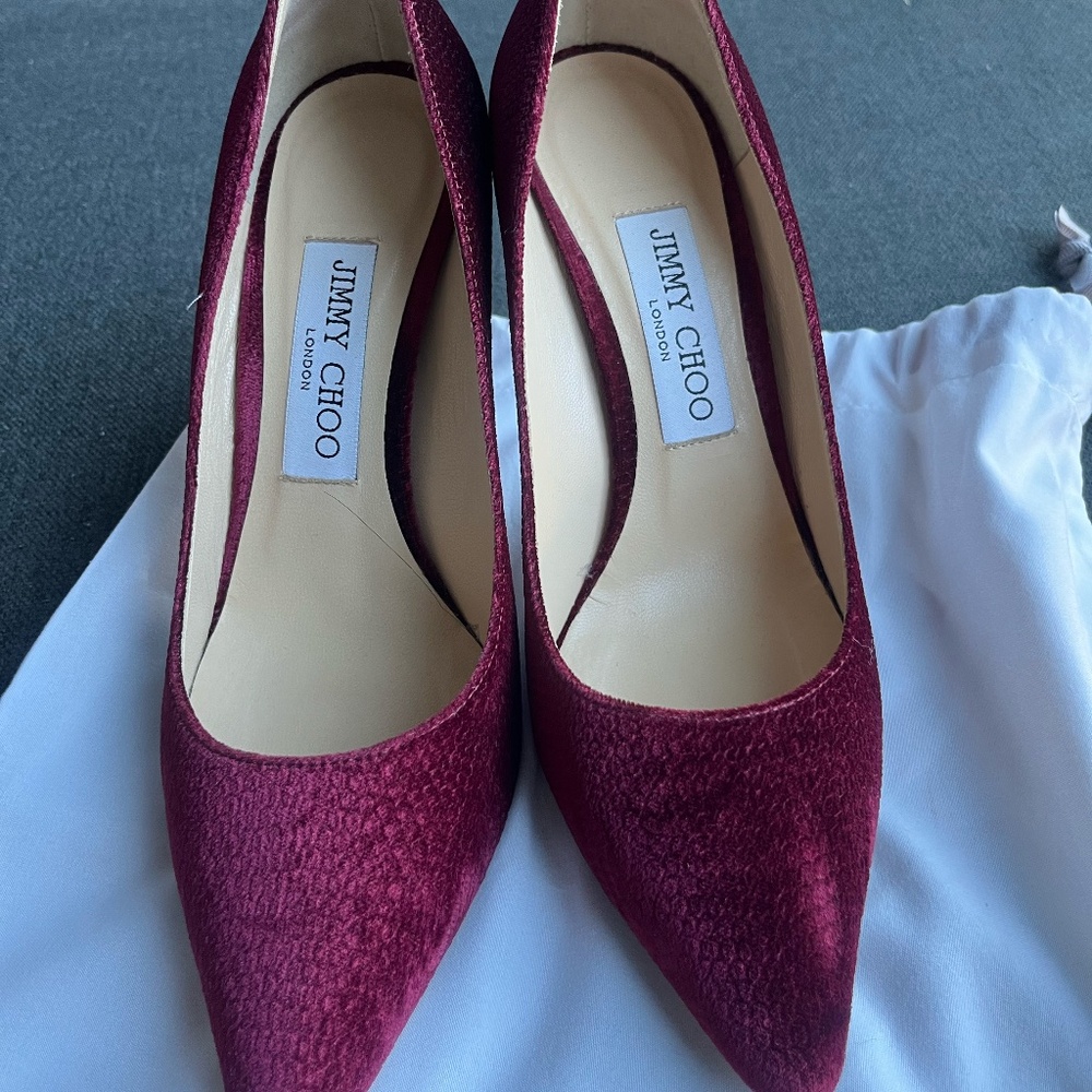 Reed Velvet Jimmy Choo Pumps